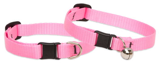 Cat collar 2025 without bell